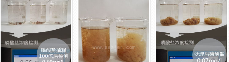 聚丙烯酰胺，聚合氯化铝，硫酸亚铁，絮凝剂
